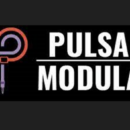 pulsar modular offerta fedeltà 31 dicembre 2023 plug-in sales news audiofader,com