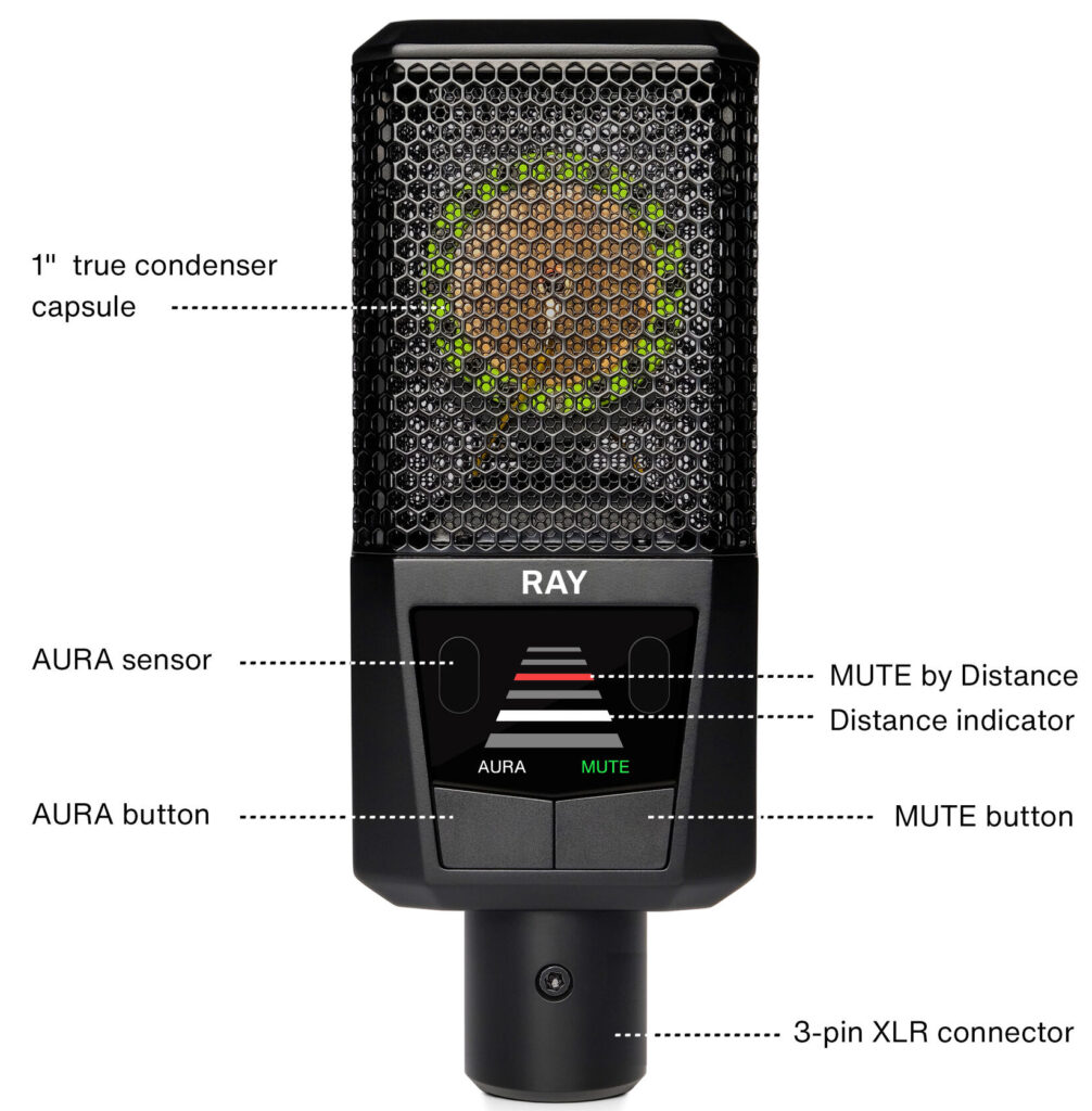 lewitt ray aura mic for podcasting content creator lct 440 pure audifoader