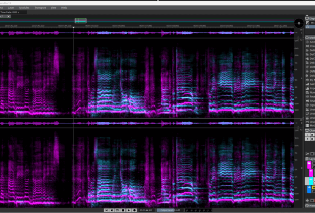 SpectraLayers 11 Steinberg recensione review test Pierluigi Bontempi news audiofader